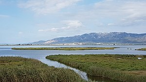 Una de las desembocaduras del Ebro.jpg