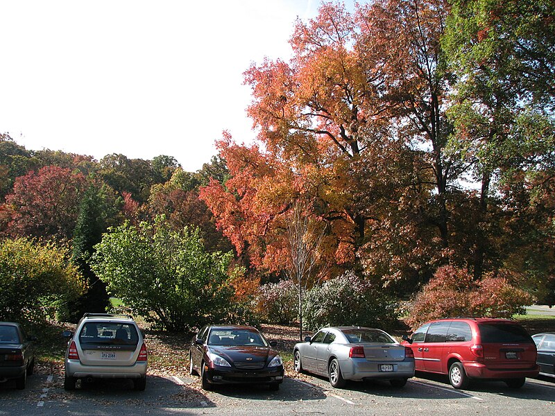 File:United States National Arboretum 2.JPG