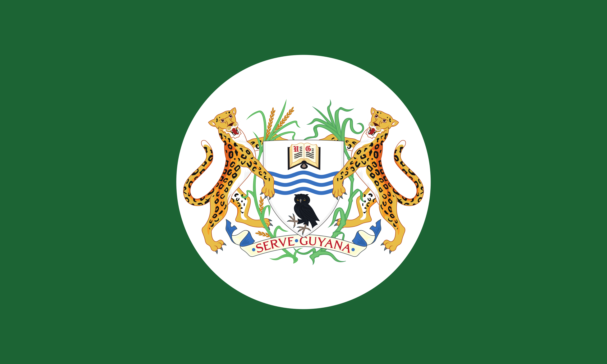 File:Flag of Guyana (colouring page).svg - Wikimedia Commons