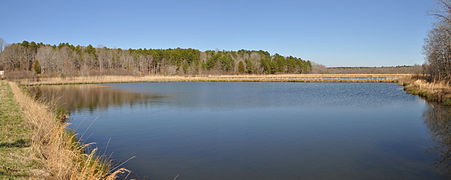 University of Mississippi Field Station