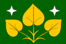 Flag af Výprachtice