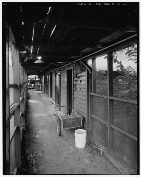 File:VIEW EAST, INTERIOR OF UNNUMBERED SCREEN HEADHOUSE, WITH ENTRANCES TO GREENHOUSES -3, -4, -5 (BUILDINGS 7, 8, 9) - U.S. Plant Introduction Station, Greenhouse Nos. 3-8, 11601 Old HAER MD,17-GLDLE,1D-3.tif