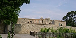 Valmagne abbaye vue generale.jpg