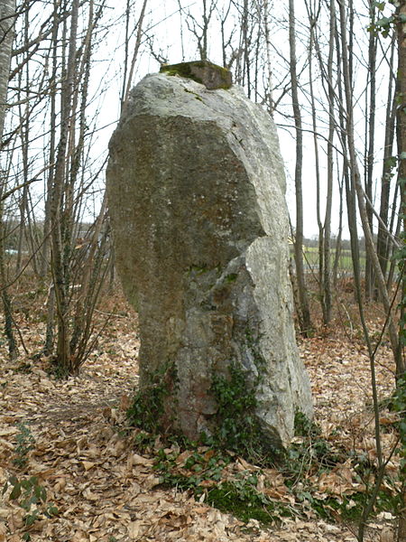 File:Vay menhir Drouetterie.jpg