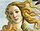 Venere botticelli dettaglio.jpg