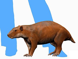 <i>Vintana</i> Extinct species of mammal