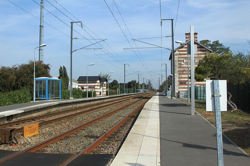 File:Vue des quais de la gare de Belleville, vers Nantes par Cramos.jpg