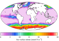 Среднегодовое содержание на морской поверхности селитры (2009)