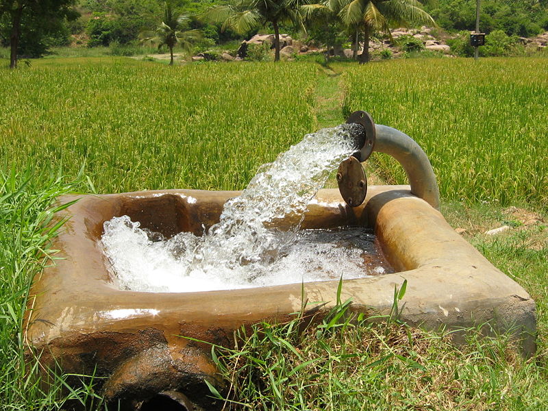 File:Wasser Reisfeld Indien.jpg