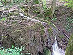 Wasserfall über Kalksinter am Fischbach in Kaltennordheim