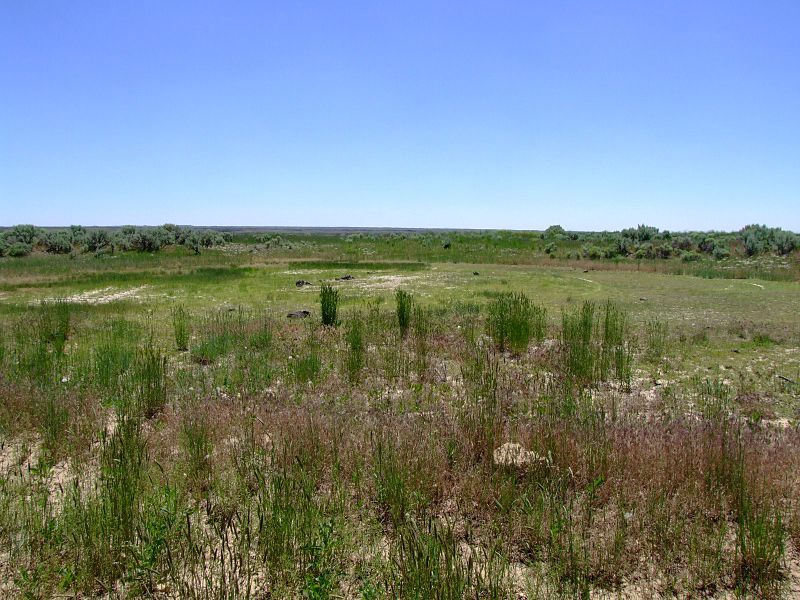 File:Waterhole - panoramio.jpg