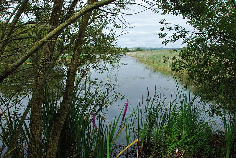 File:Westhay Moor (geograph 1689593).jpg