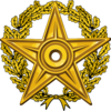 Орден Викиславы 1-й степени