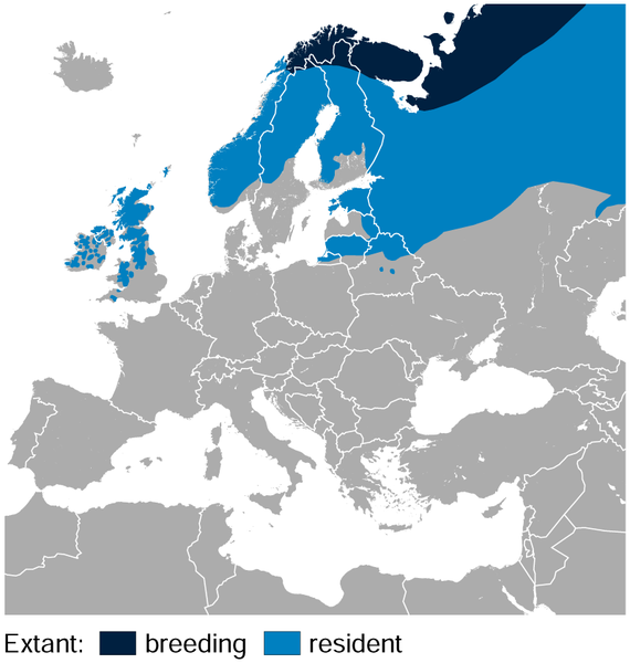 File:Willow Ptarmigan Lagopus lagopus distribution in Europe map.png