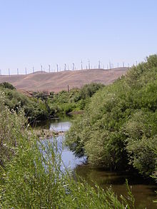 Turbine eoliche nella parte inferiore del fiume Walla Walla. Fiume impoverito dal prelievo dell'acqua di irrigazione.