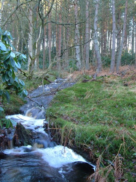 File:Wolfhole Letch - geograph.org.uk - 305413.jpg