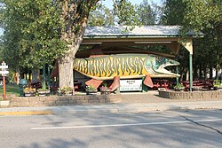 World's biggest Tiger Muskie