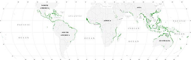 Description de l'image World_map_mangrove_distribution.jpg.