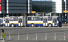 L'autobus municipale in servizio sulla linea 1 che collega Terminal aeroportuale con il centro cittadino