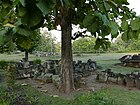 015 Teak Tree and Ruins (28982181246).jpg