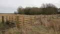 1st bridge on Waveney, Redgrave Fen.jpg