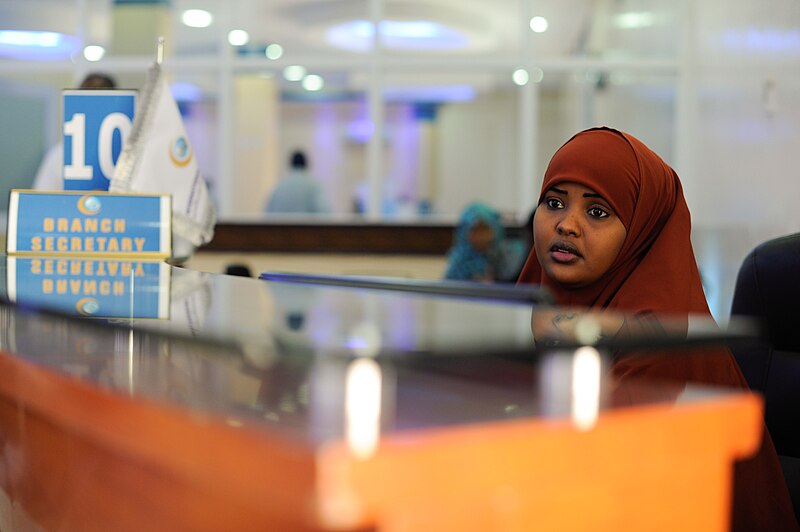 File:2014 11 16 International Somali Banking 03 (15640927418).jpg