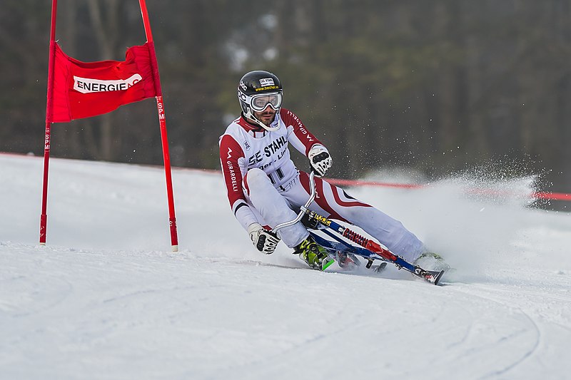 File:2018 STM Austria Skibob Hochficht DERFLINGER Clemens-2143.jpg