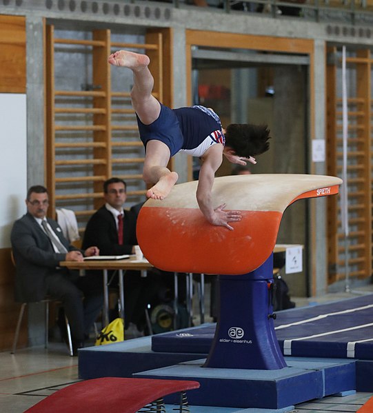 File:2019-04-13 Rheintalcup P6 Junior Switzerland competition vault (Martin Rulsch) 037.jpg