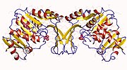 Thumbnail for 1-phosphofructokinase