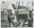 3-65. Seldovia - Unloading king crab catch off fishing boat (24940157925).jpg