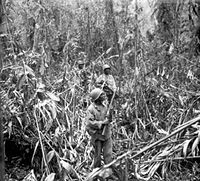 1 May 1944, members of the 93rd Division on the Numa-Numa Trail, Bougainville. 93rd division bougainville 1944.jpg