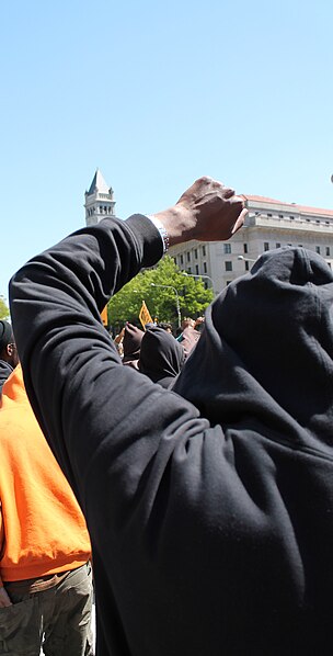 File:98a.MillionHoodiesRally.FreedomPlaza.WDC.7April2012 (8615492830).jpg