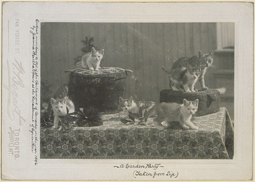 A garden party (taken from life) (HS85-10-8754)