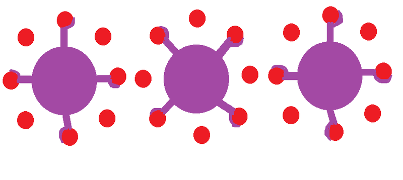 File:Actin Myosin Cross Bridges in Cross Section.png