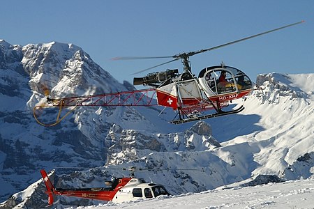 Lama et Écureuil au Lauberhorn en 2007