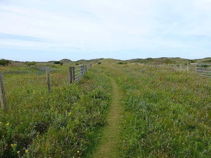 File:Ainsdale Reserve perimeter track - geograph.org.uk - 4621186.jpg