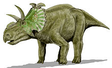 Albertaceratops - Wikipedia