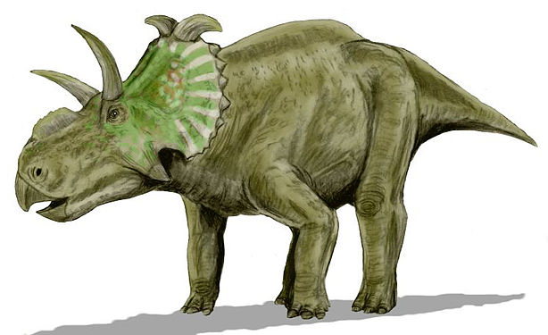 אלברטצרטופס Albertaceratops