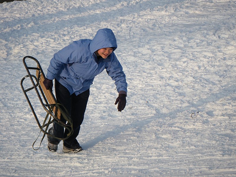 File:Alina sledding (3324403096).jpg