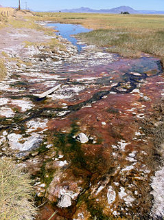 Alvord Hot Springs Thermal spring in Oregon