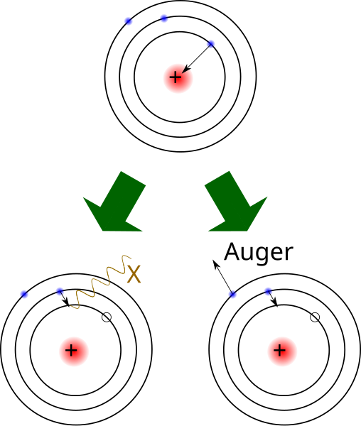 File:Atomic rearrangement following an electron capture.svg