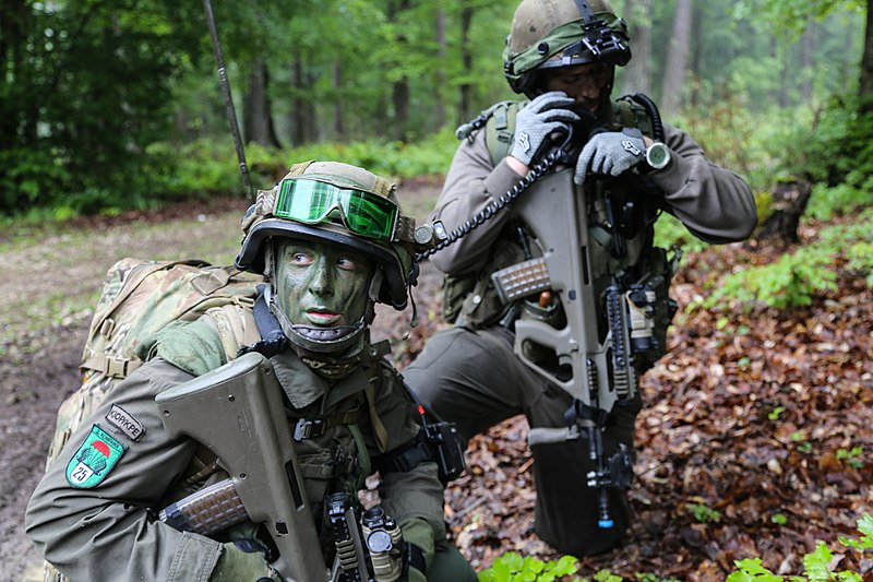 File:Austrian forces at Combined Resolve II (14236023945).jpg
