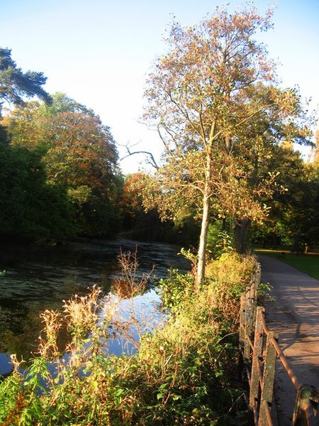 File:Autumn at Roath Park - geograph.org.uk - 1538609.jpg