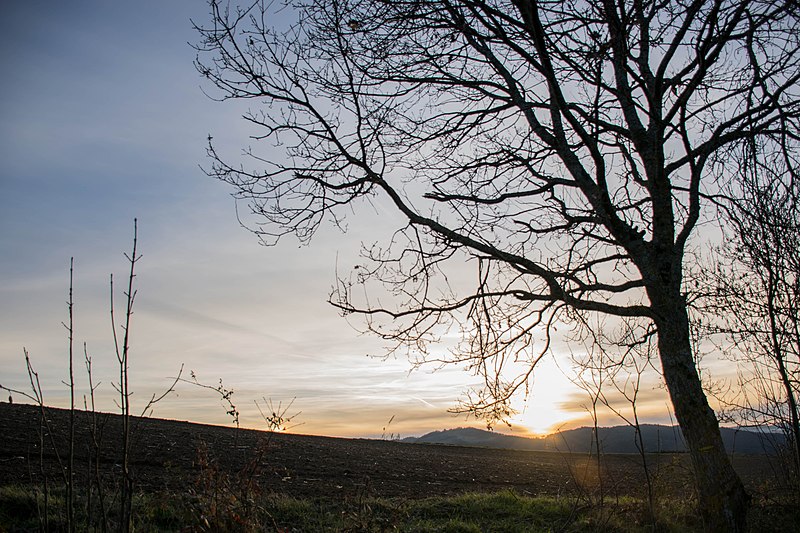 File:Auvergne, décembre 2018 — 24.jpg