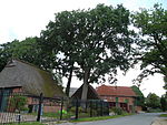 Bönningstedt, Friedenseiche, from the south.jpeg