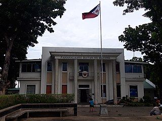 <span class="mw-page-title-main">Bacong</span> Municipality in Negros Oriental, Philippines
