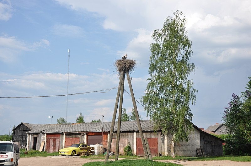 File:Baltā stārķa ligzda Nr.1108, Suntažu pagasts, Ogres novads, Latvia - panoramio (1).jpg