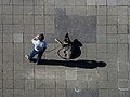 * Nomination Man with dog on the station forecourt in Bamberg --Ermell 05:59, 21 July 2020 (UTC) * Promotion  Support Good quality. --XRay 06:09, 21 July 2020 (UTC)