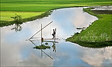 Bangladesh Fishing 2006.jpg