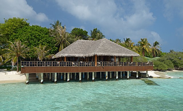 File:Bar. Eriyadu, Maldives.jpg - Wikimedia Commons